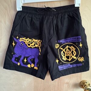 La Dispute Band Shorts